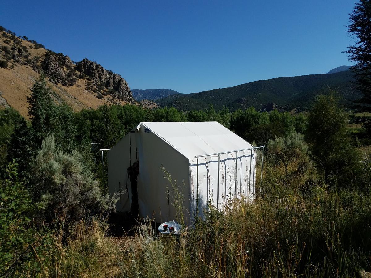 Bristol Cabins Lava Hot Springs Dış mekan fotoğraf